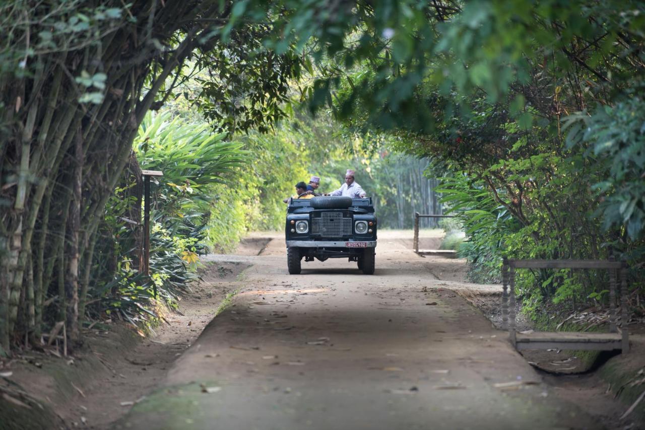 Tiger Tops Tharu Lodge Chitwan Ngoại thất bức ảnh