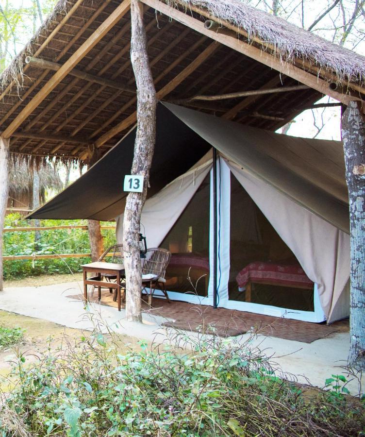 Tiger Tops Tharu Lodge Chitwan Ngoại thất bức ảnh