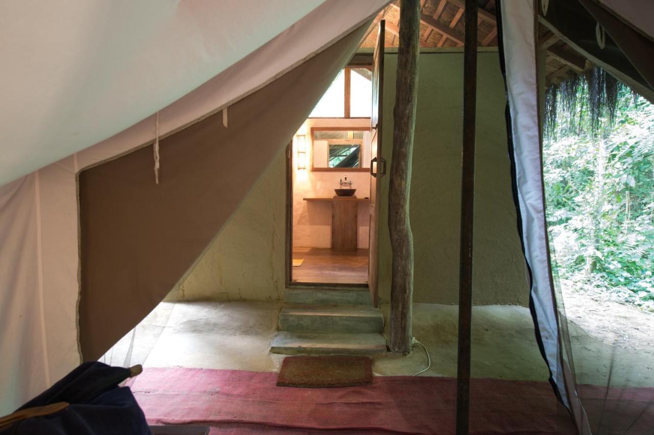 Tiger Tops Tharu Lodge Chitwan Ngoại thất bức ảnh