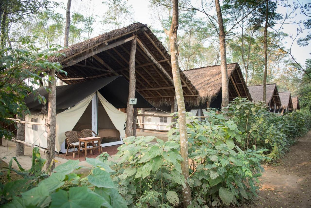 Tiger Tops Tharu Lodge Chitwan Ngoại thất bức ảnh