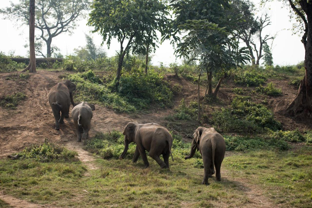 Tiger Tops Tharu Lodge Chitwan Ngoại thất bức ảnh