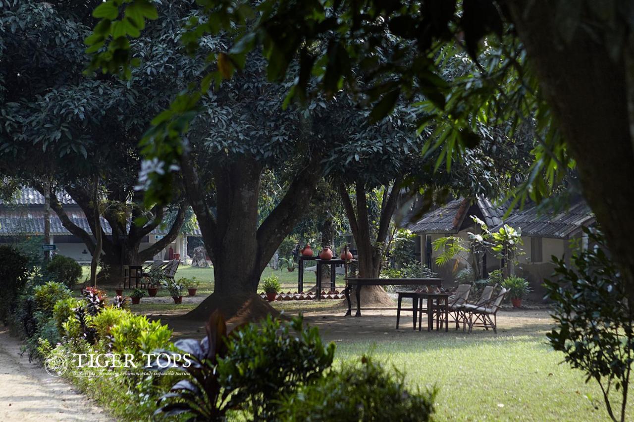 Tiger Tops Tharu Lodge Chitwan Ngoại thất bức ảnh