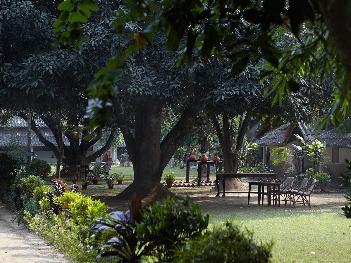 Tiger Tops Tharu Lodge Chitwan Ngoại thất bức ảnh