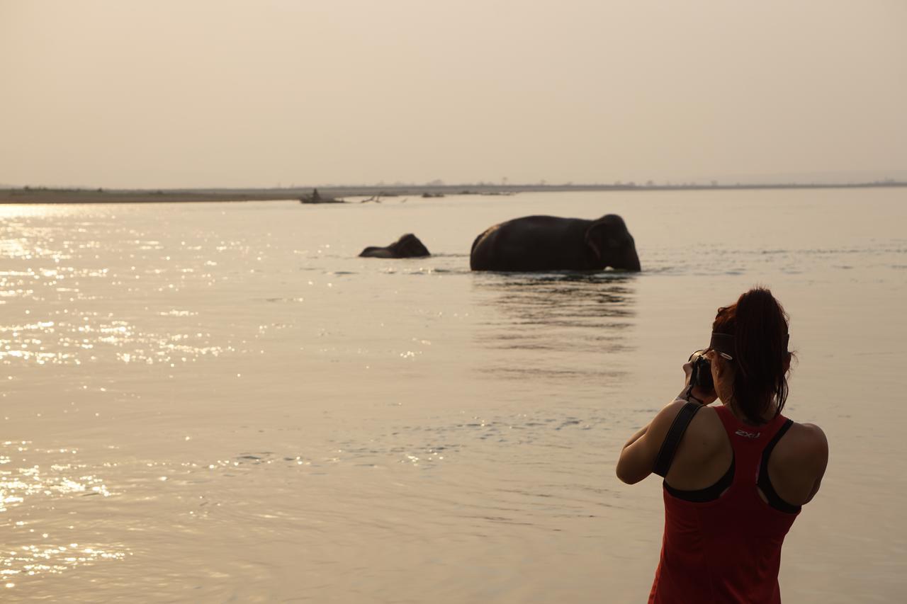 Tiger Tops Tharu Lodge Chitwan Ngoại thất bức ảnh