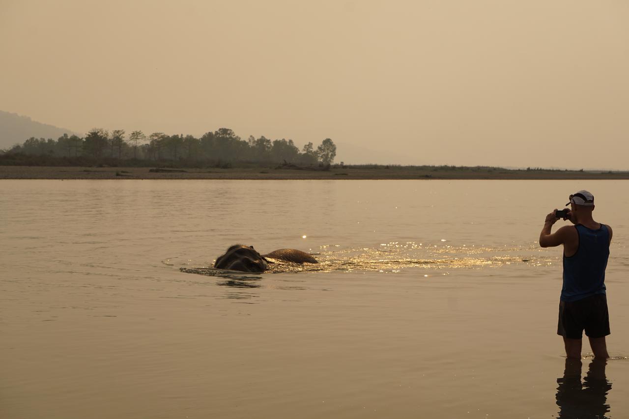 Tiger Tops Tharu Lodge Chitwan Ngoại thất bức ảnh