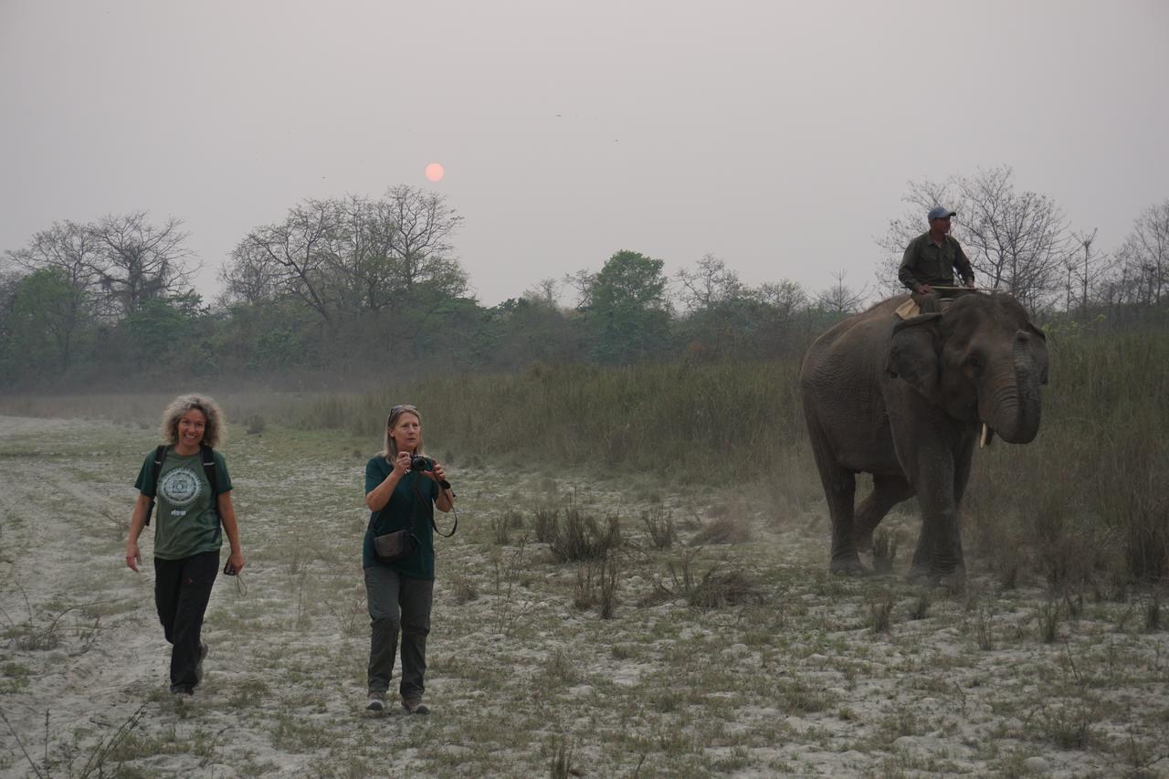 Tiger Tops Tharu Lodge Chitwan Ngoại thất bức ảnh