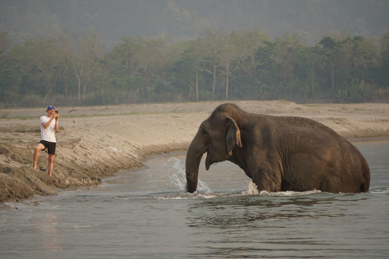 Tiger Tops Tharu Lodge Chitwan Ngoại thất bức ảnh