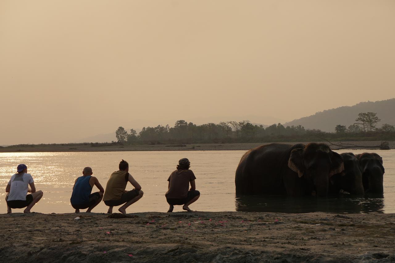 Tiger Tops Tharu Lodge Chitwan Ngoại thất bức ảnh