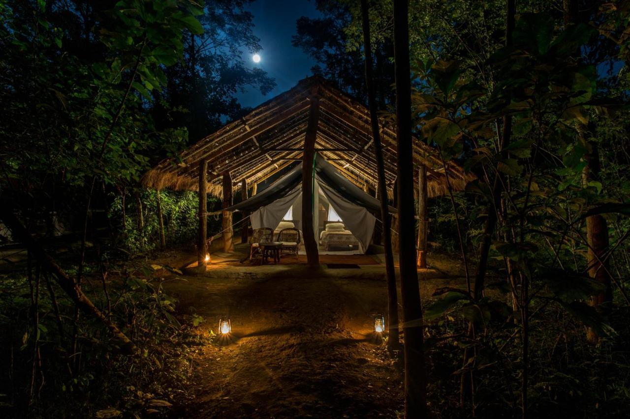 Tiger Tops Tharu Lodge Chitwan Ngoại thất bức ảnh