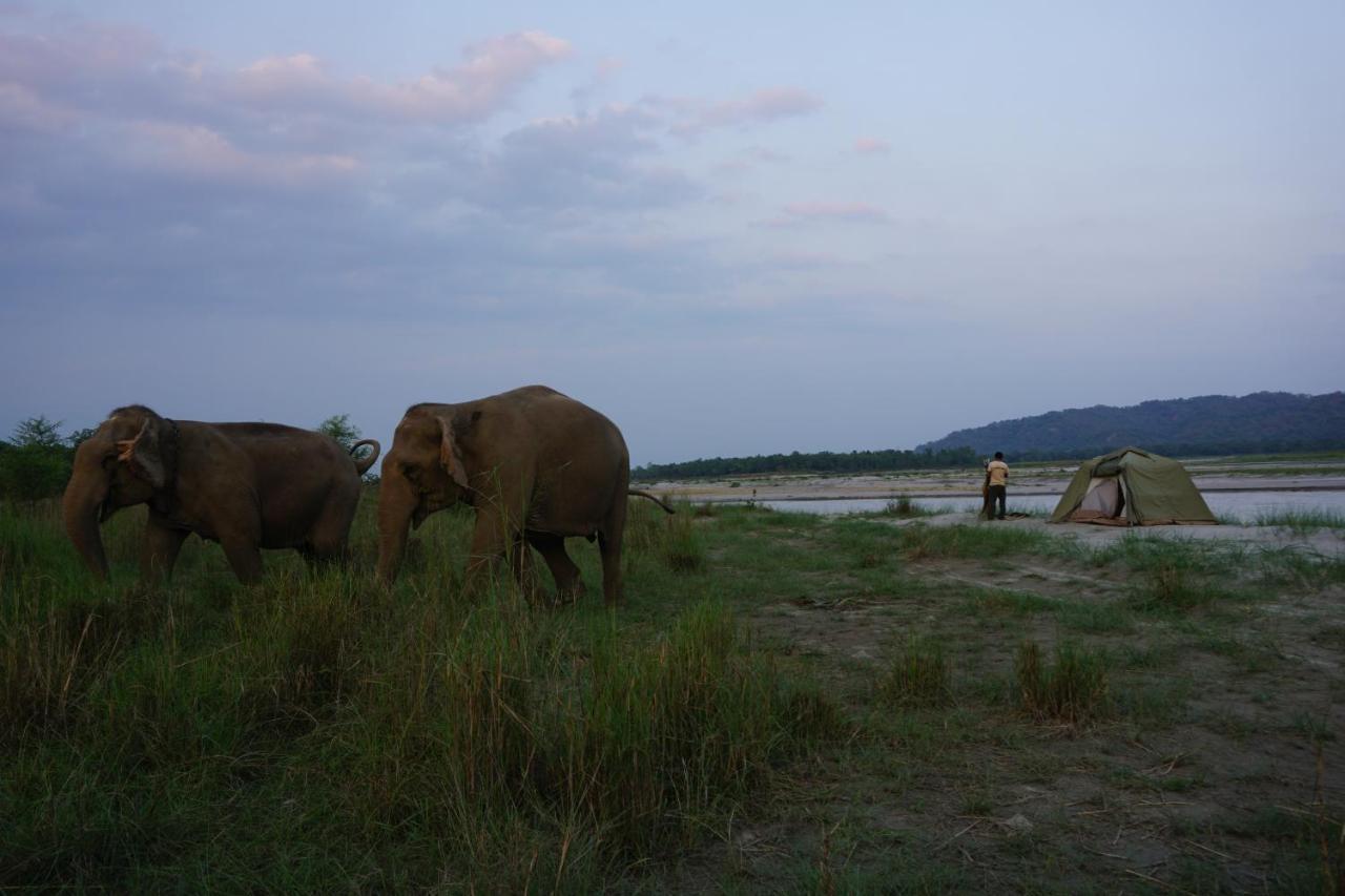 Tiger Tops Tharu Lodge Chitwan Ngoại thất bức ảnh