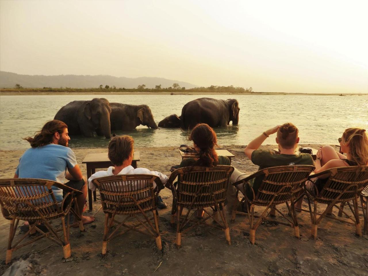 Tiger Tops Tharu Lodge Chitwan Ngoại thất bức ảnh