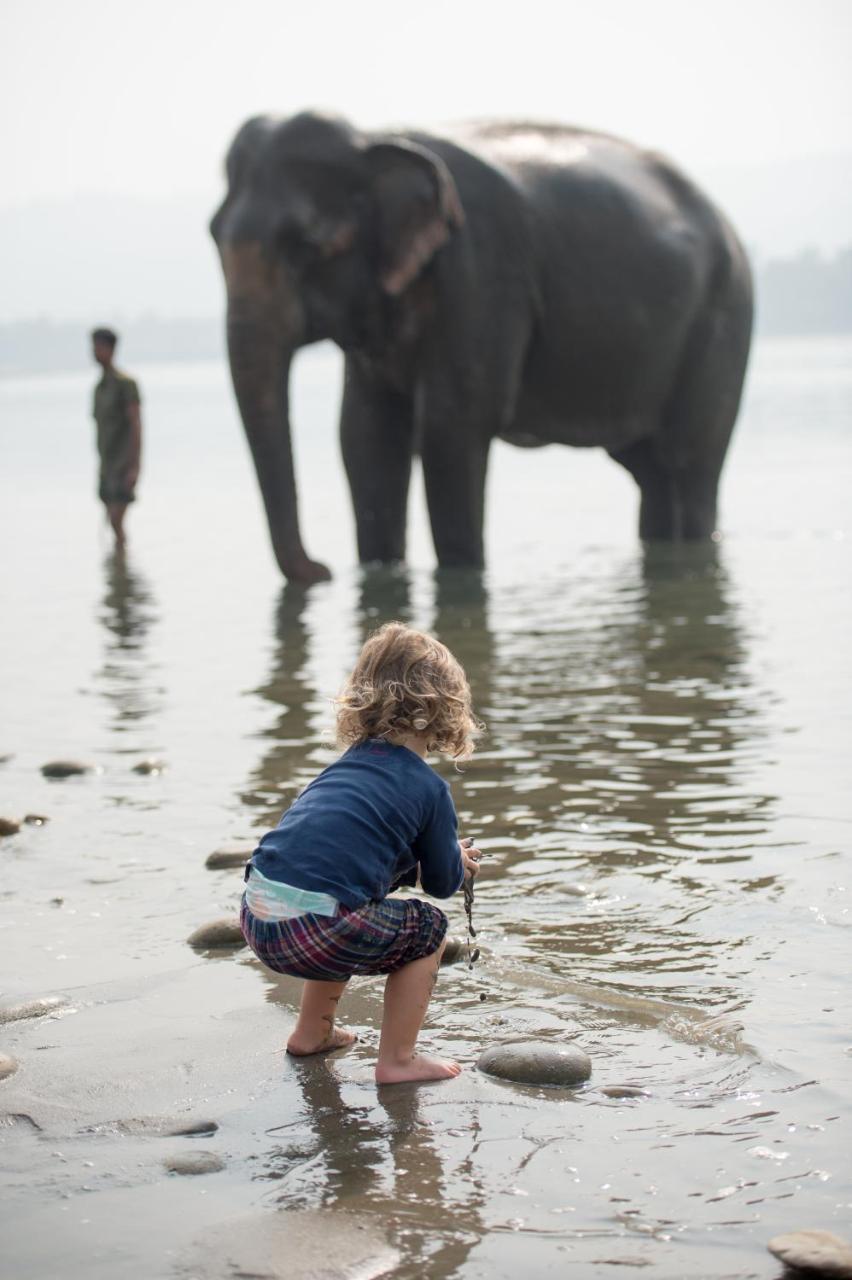 Tiger Tops Tharu Lodge Chitwan Ngoại thất bức ảnh
