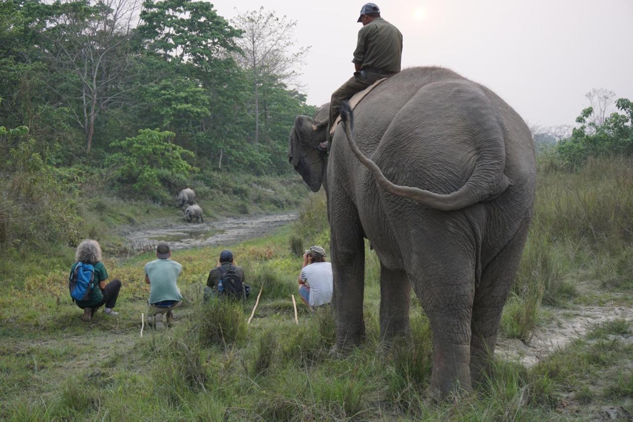 Tiger Tops Tharu Lodge Chitwan Ngoại thất bức ảnh